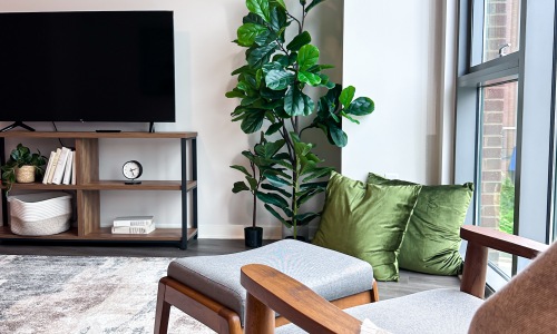 Furnished apartment with green decor