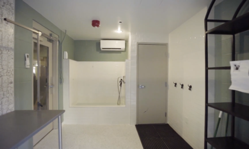 Vertis Green Hills Pet Spa