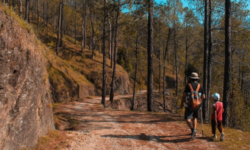 Two people on a hiking trail